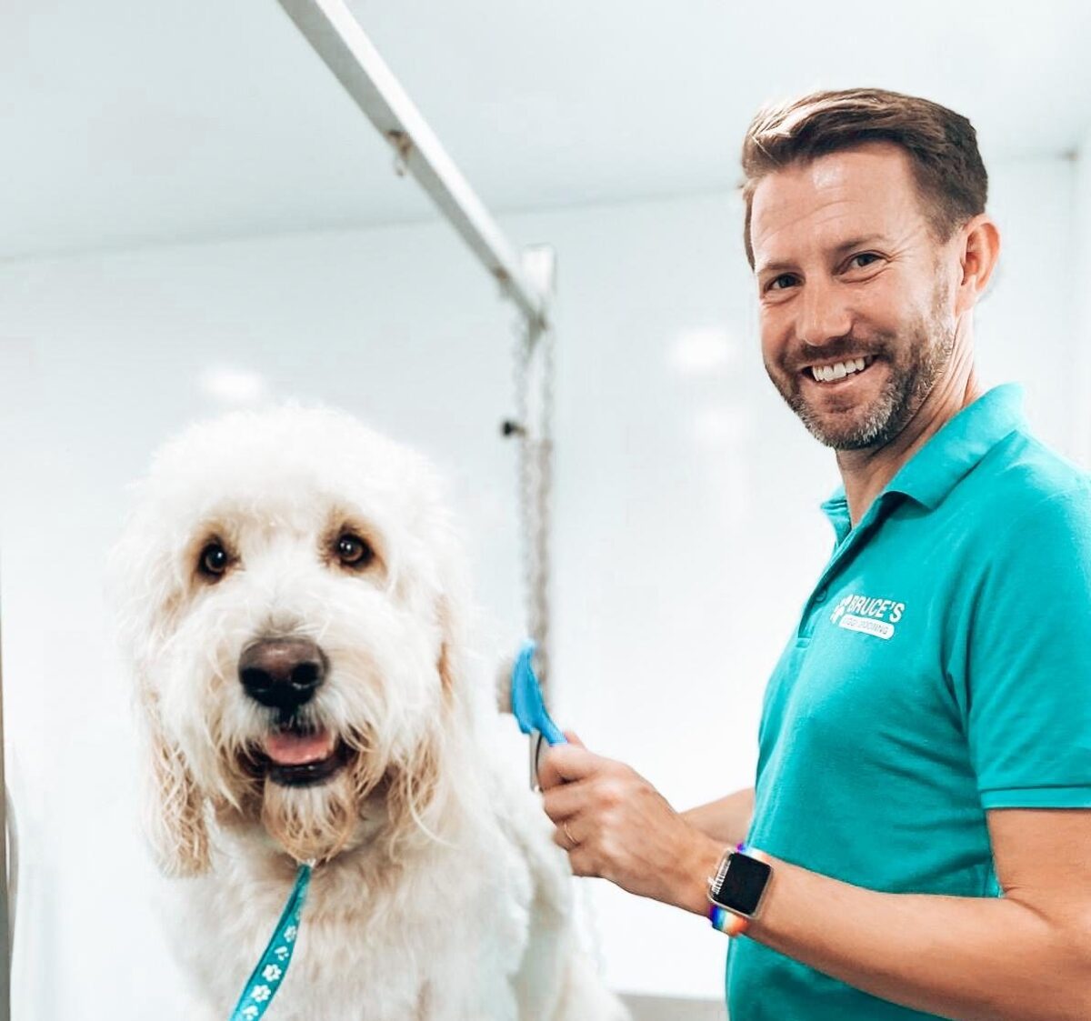 Dog groomer grooming a cockapoo in the grooming salon