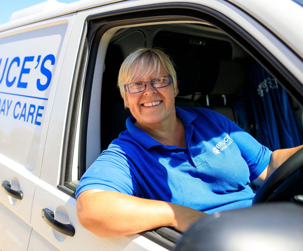 Bruce's doggy bus drivers