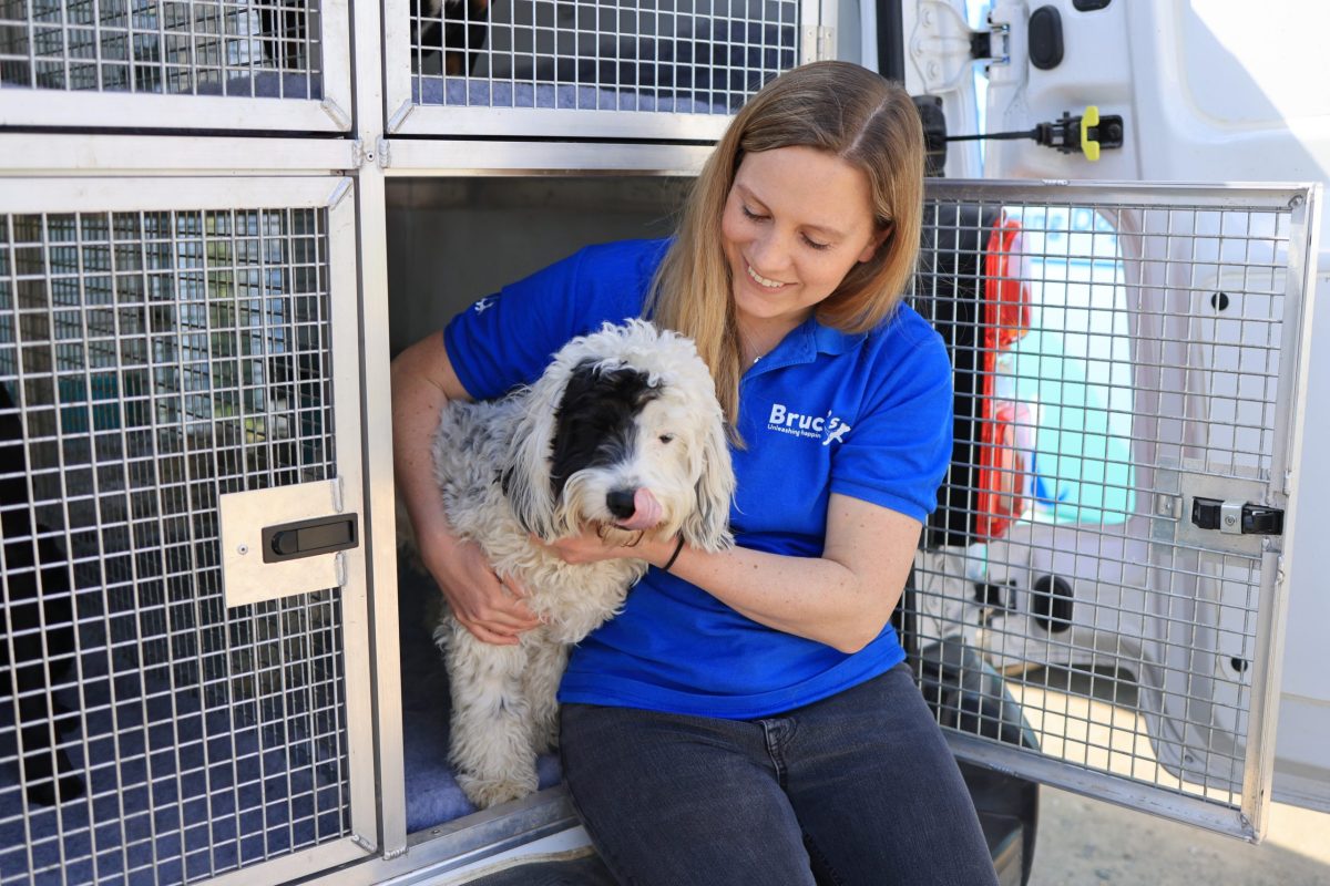 Driver giving a dog a cuddle