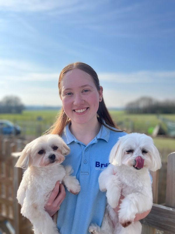 Olivia - Dog Groomer, Battlers Green