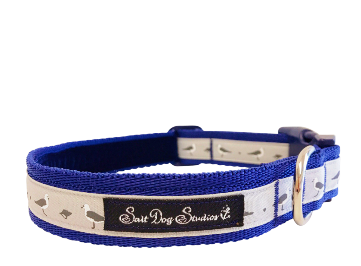 Salt dog studios blue bird print dog collar
