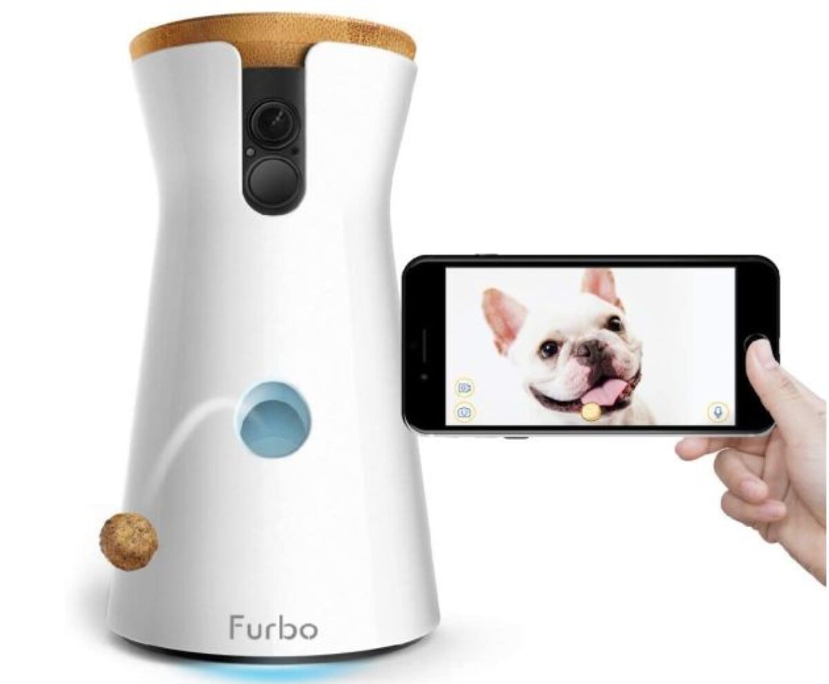 Furbo dog camera