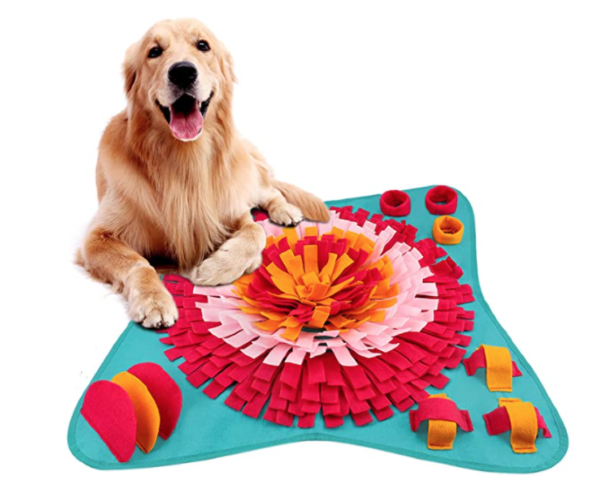 Golden retriever enjoying a snuffle mat enrichment