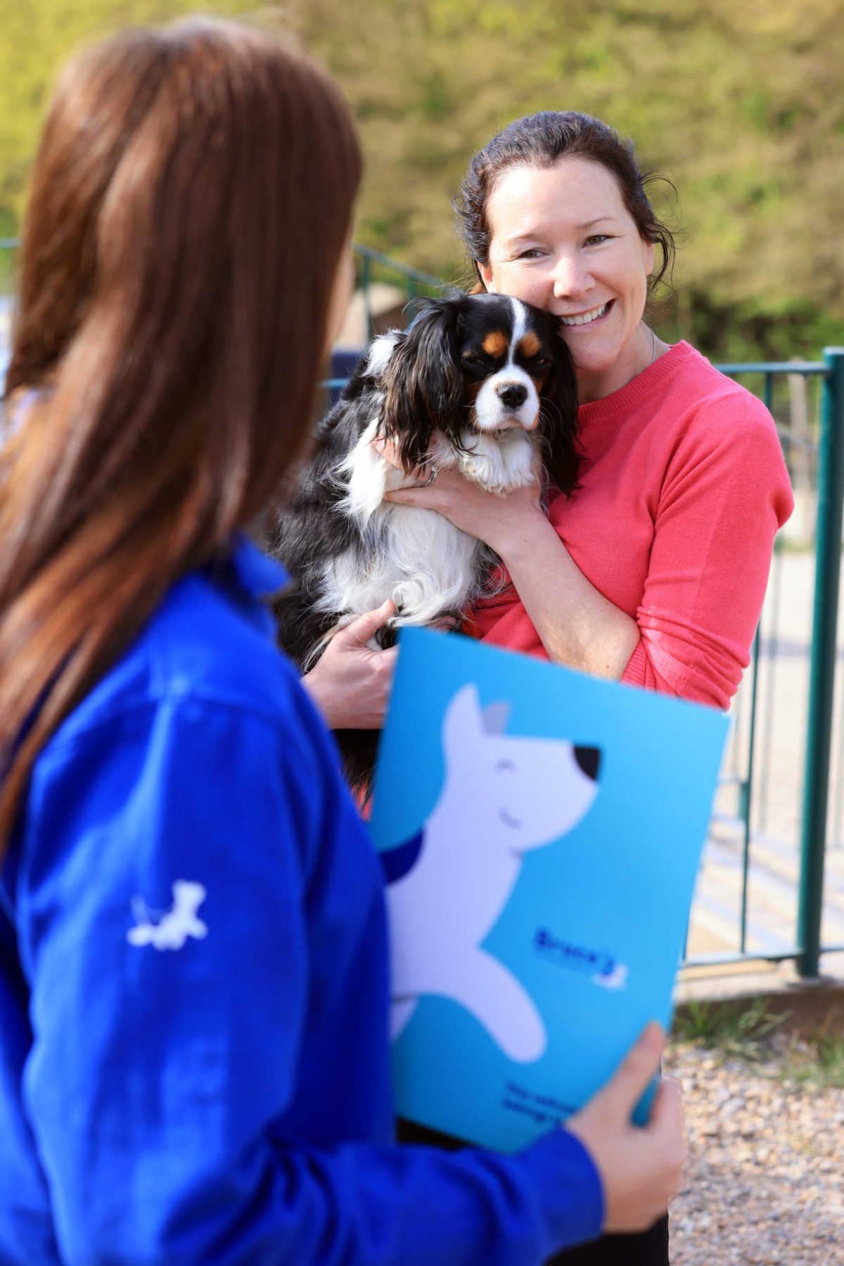 Dog owner and Cavalier King Charles Spaniel having a welcome meeting at doggy day care