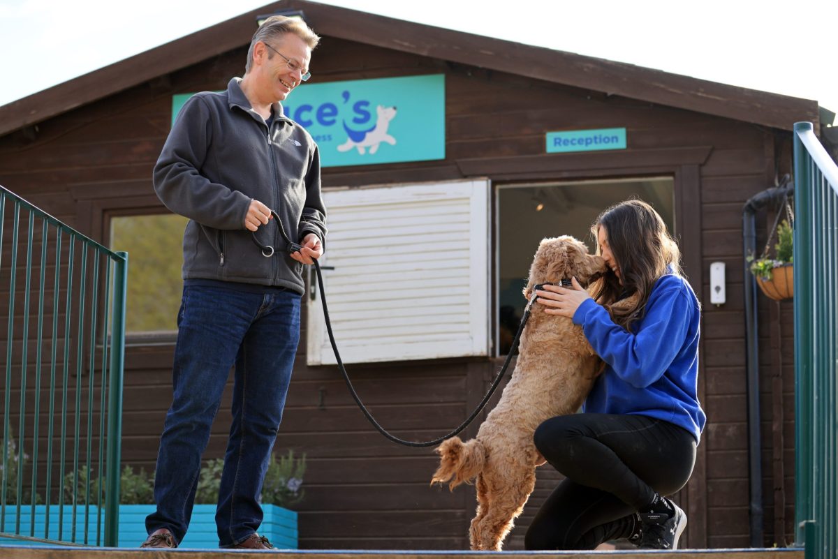 Male dog owner arriving to doggy day care with cockapoo who kisses dog carer