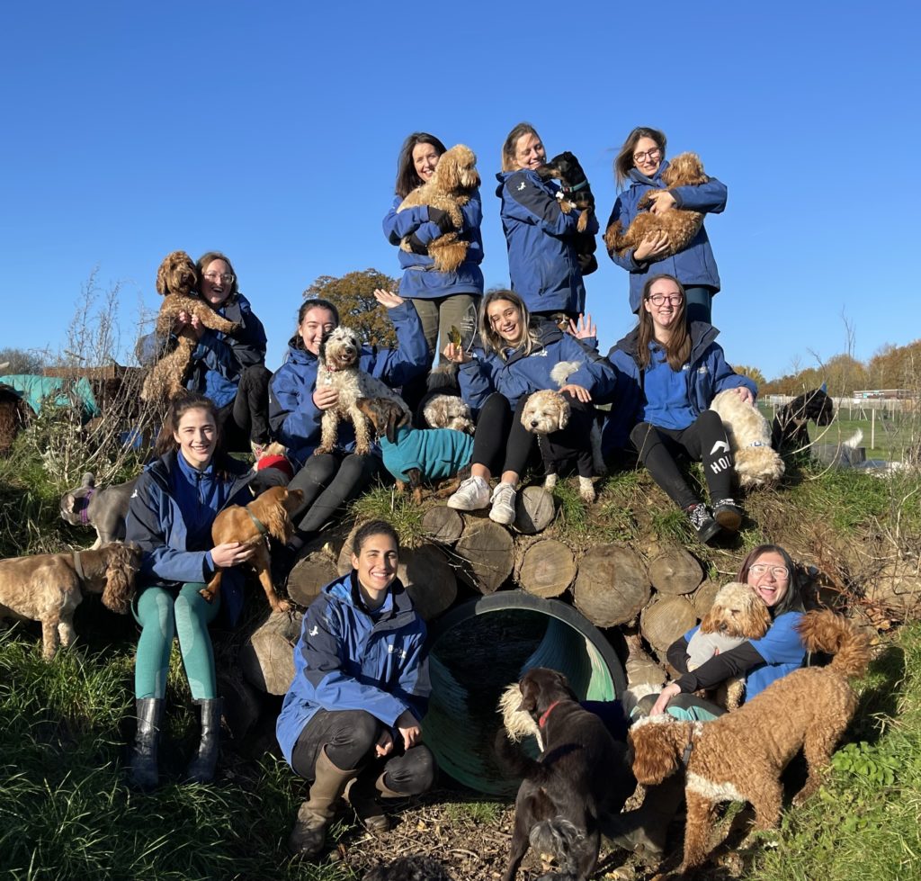 Careers Bruces Doggy Daycare   IMG 9069 1024x979 