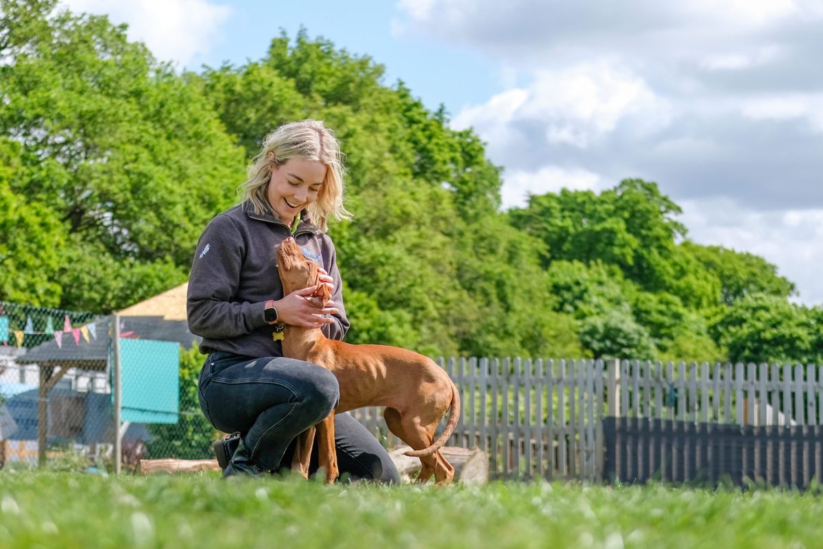 Dog and Dog trainer