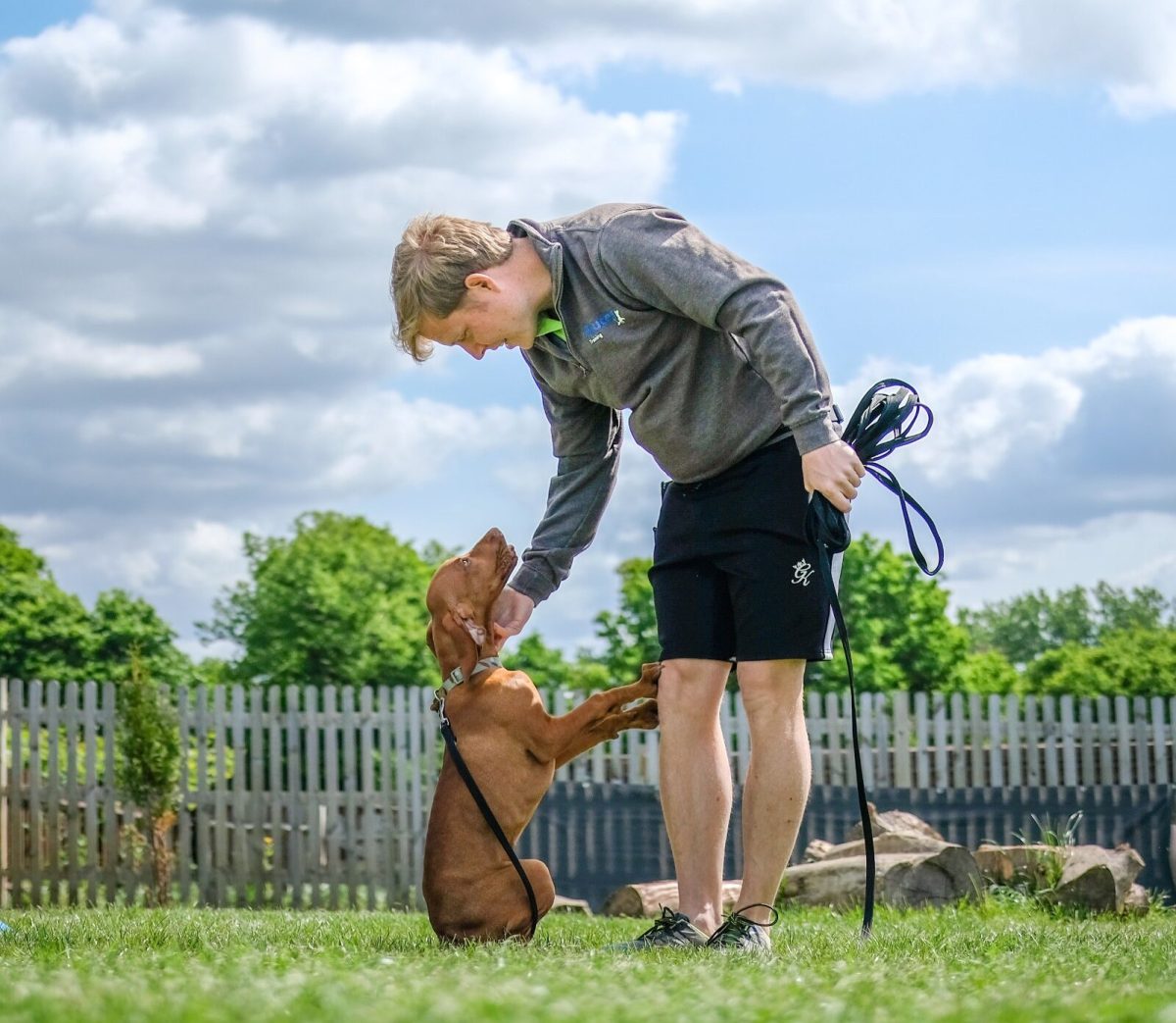 Dog Trainer and Dog