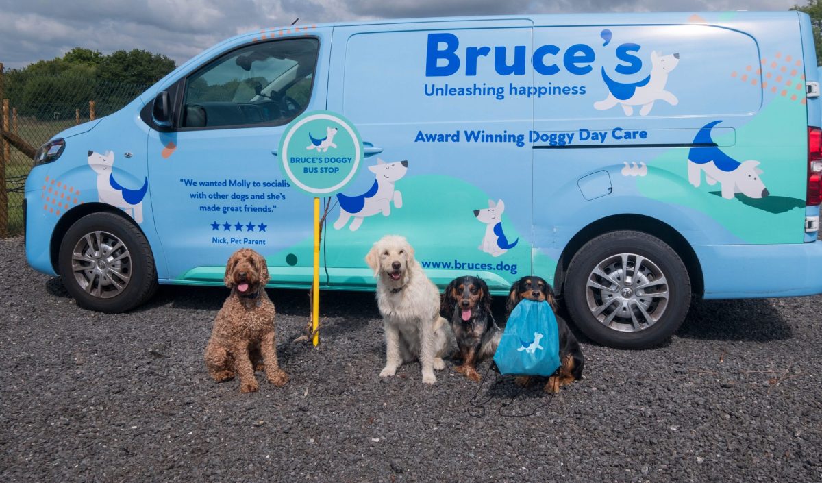 Four dogs waiting a doggy bus stop