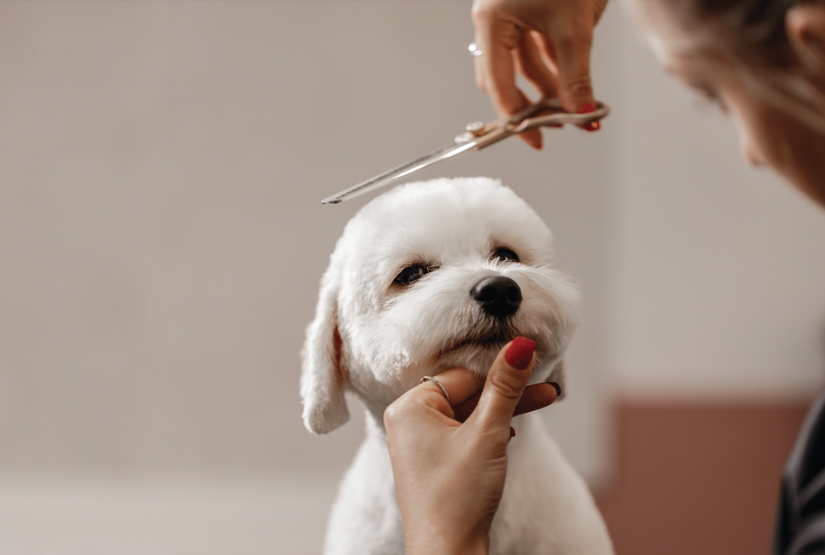 Grooming