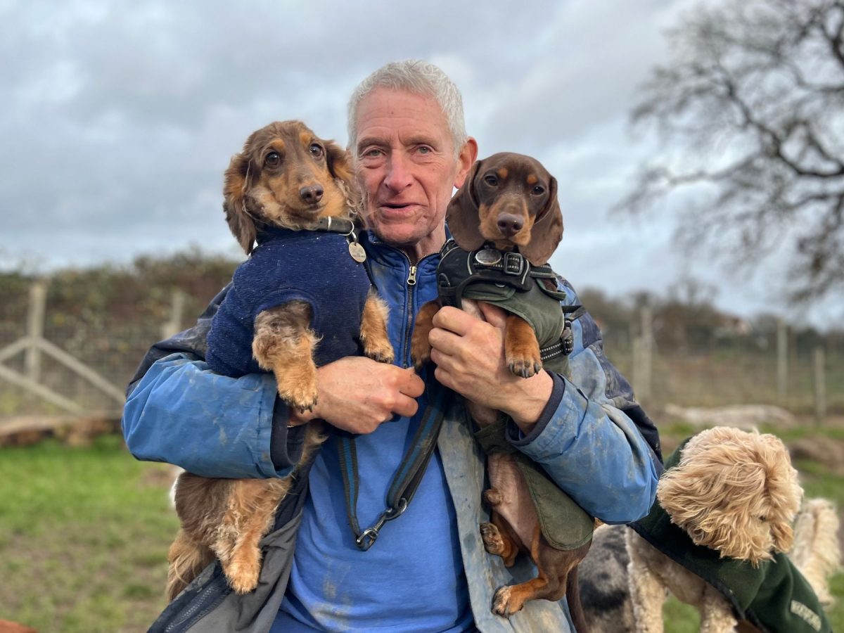 Dog owner holding 2 sausage dogs