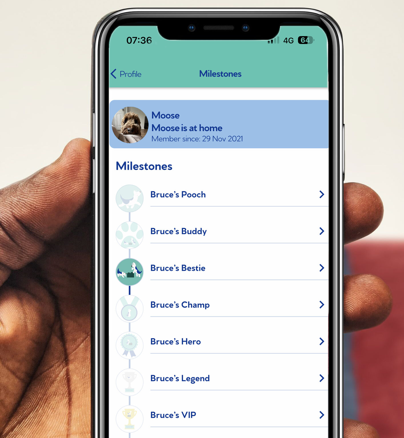 The Bruce's app showing a dog's milestones
