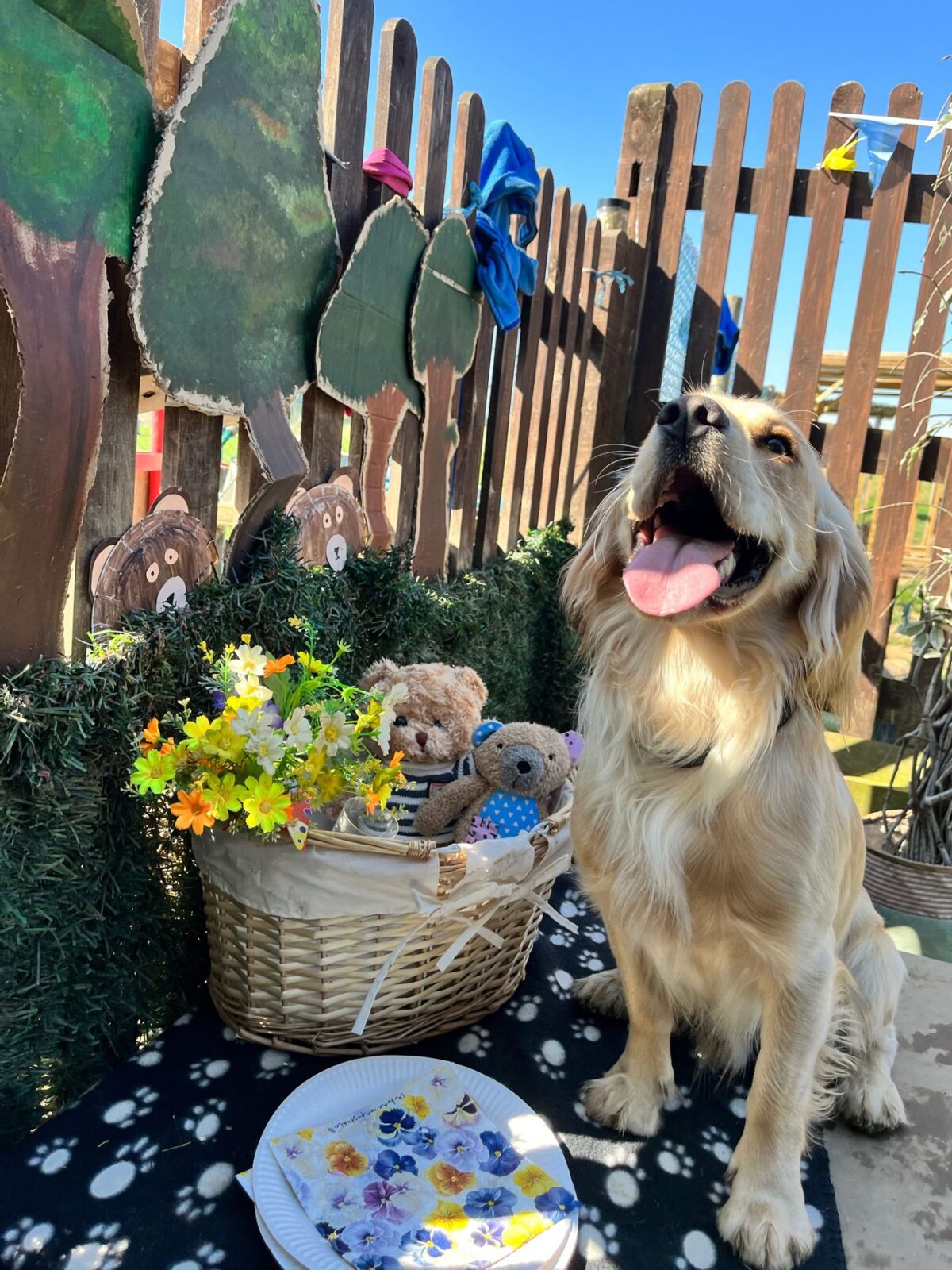 Happy dog standing next to a gate