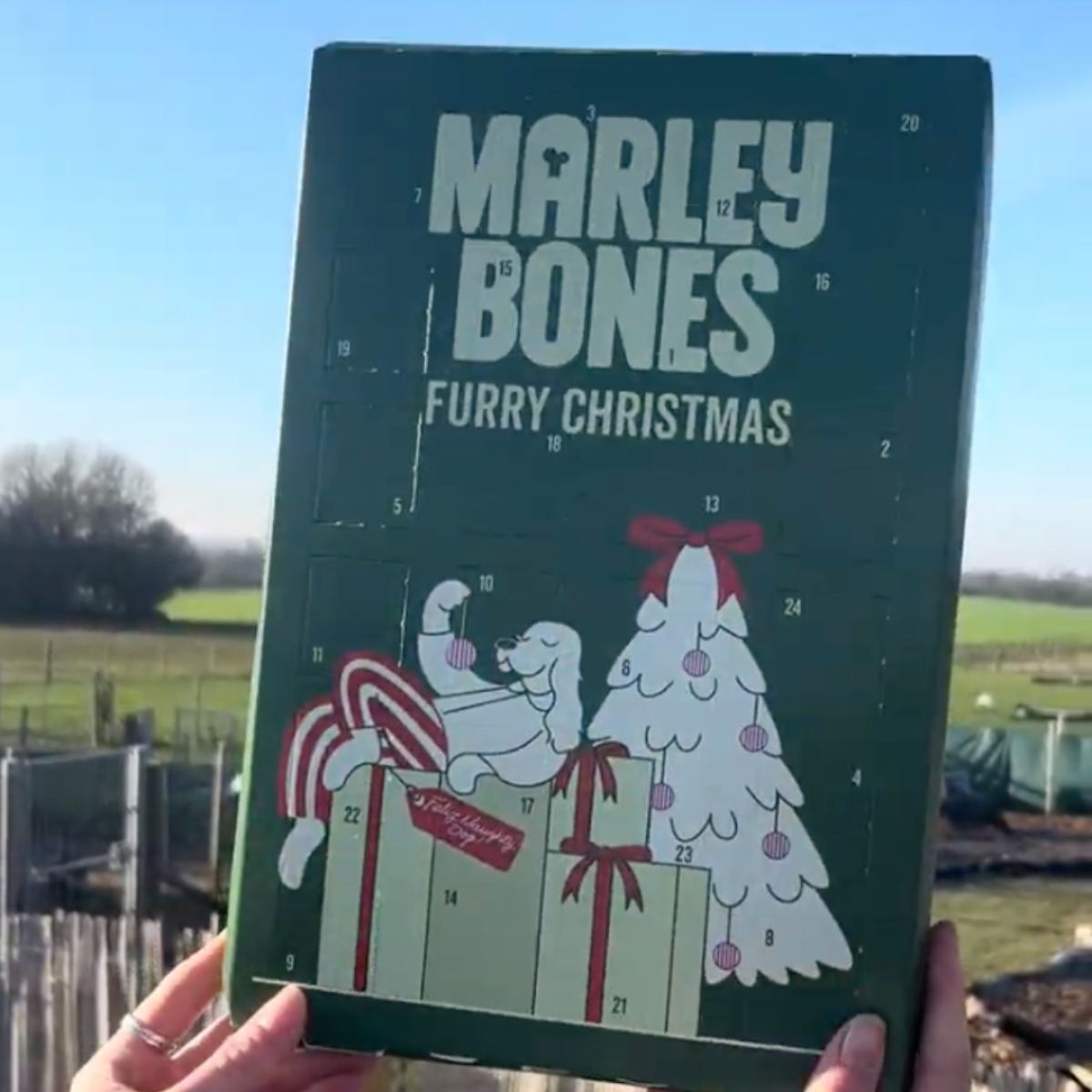 Marleybones advent calendar