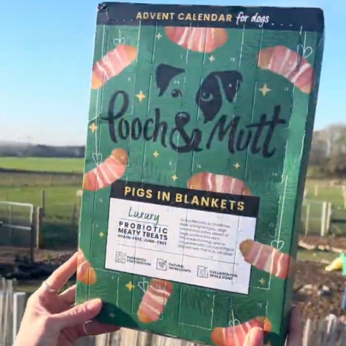 Pooch & Mutt Advent Calendar