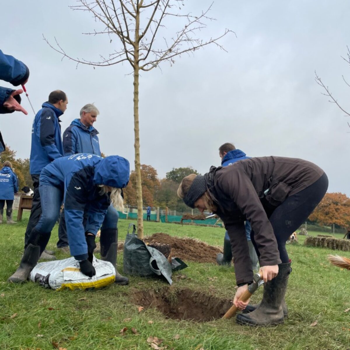 The tree planting begins, with the help of some local experts!