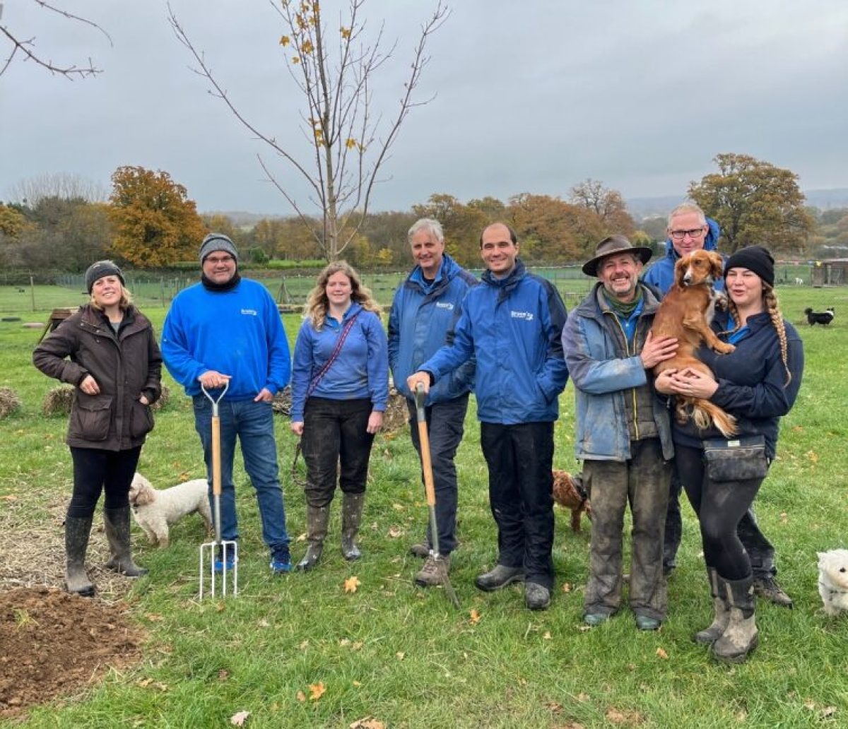 Staff planting trees at Cobham