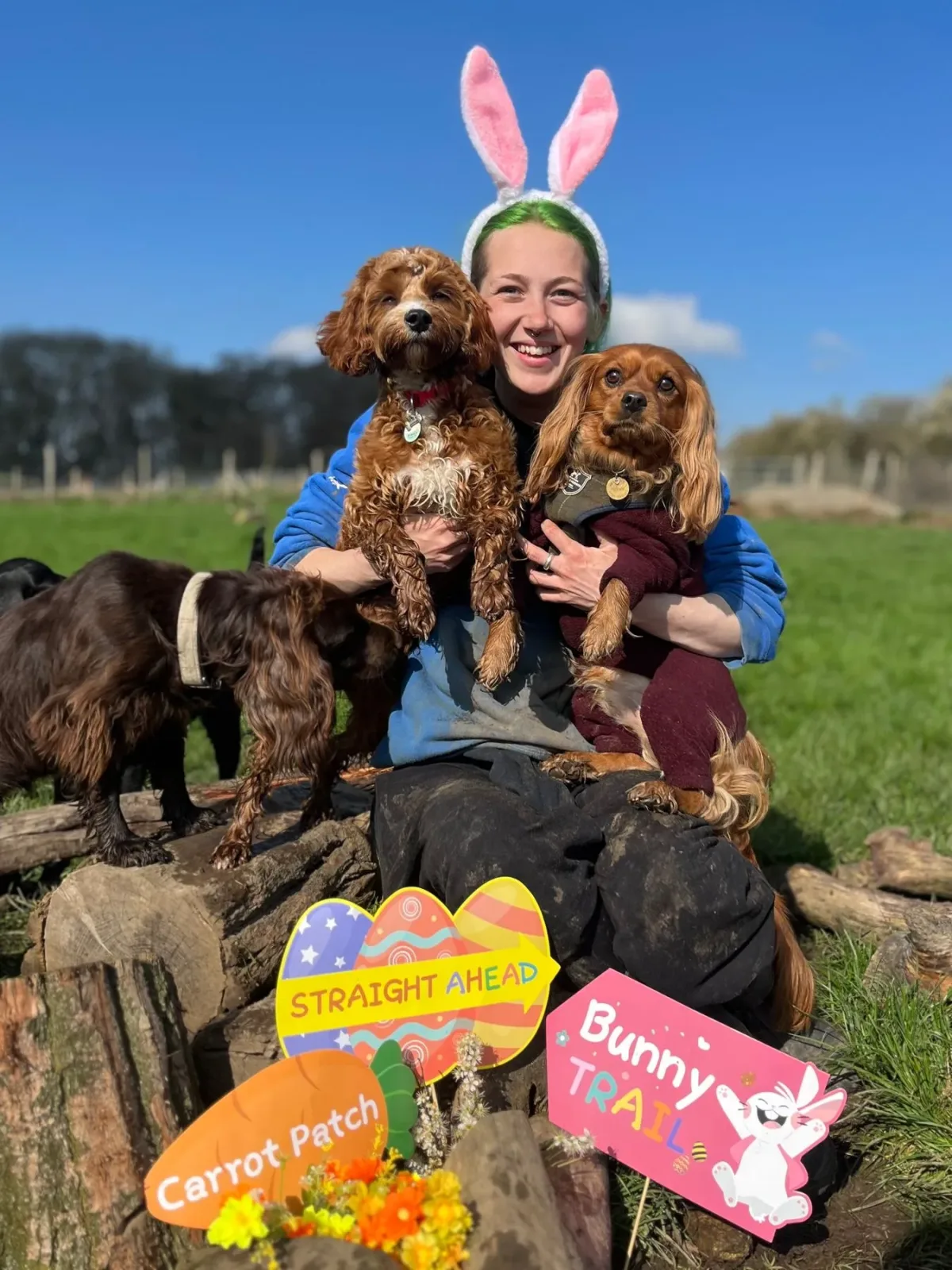 Doggy carer as the Easter bunny