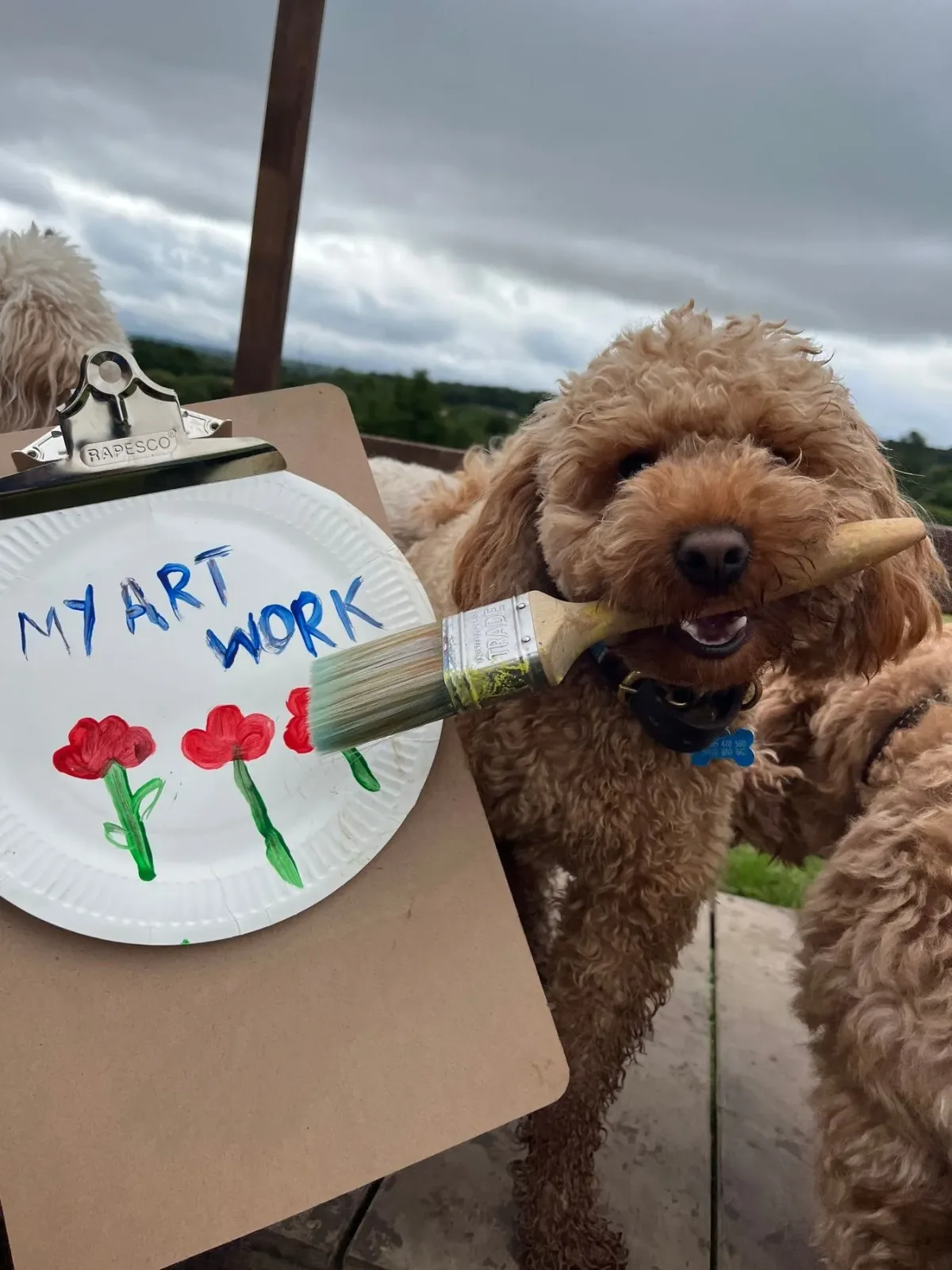 Dog creating enriching artwork at day care