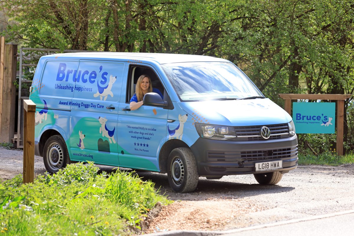 Our state-of-the-art doggy day care buses