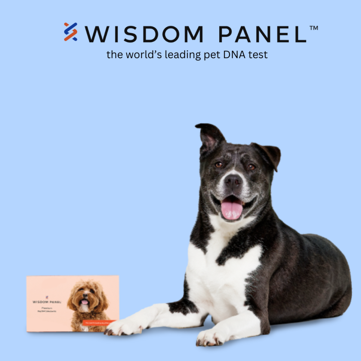 Wisdom Panel, Dog DNA Testing Experts
