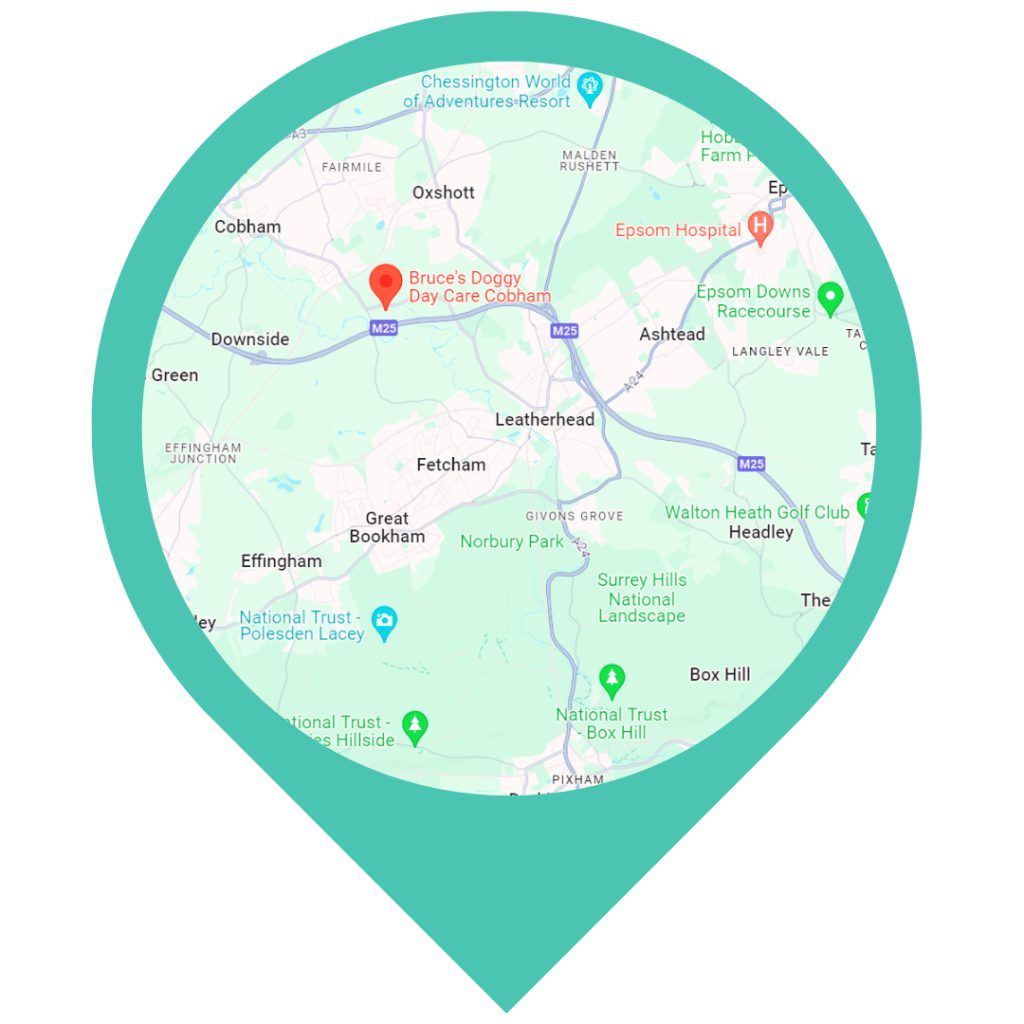 Bruce's Cobham location map