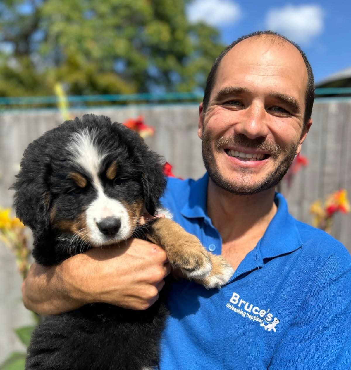 Bruce with Bernese mountain dog puppy