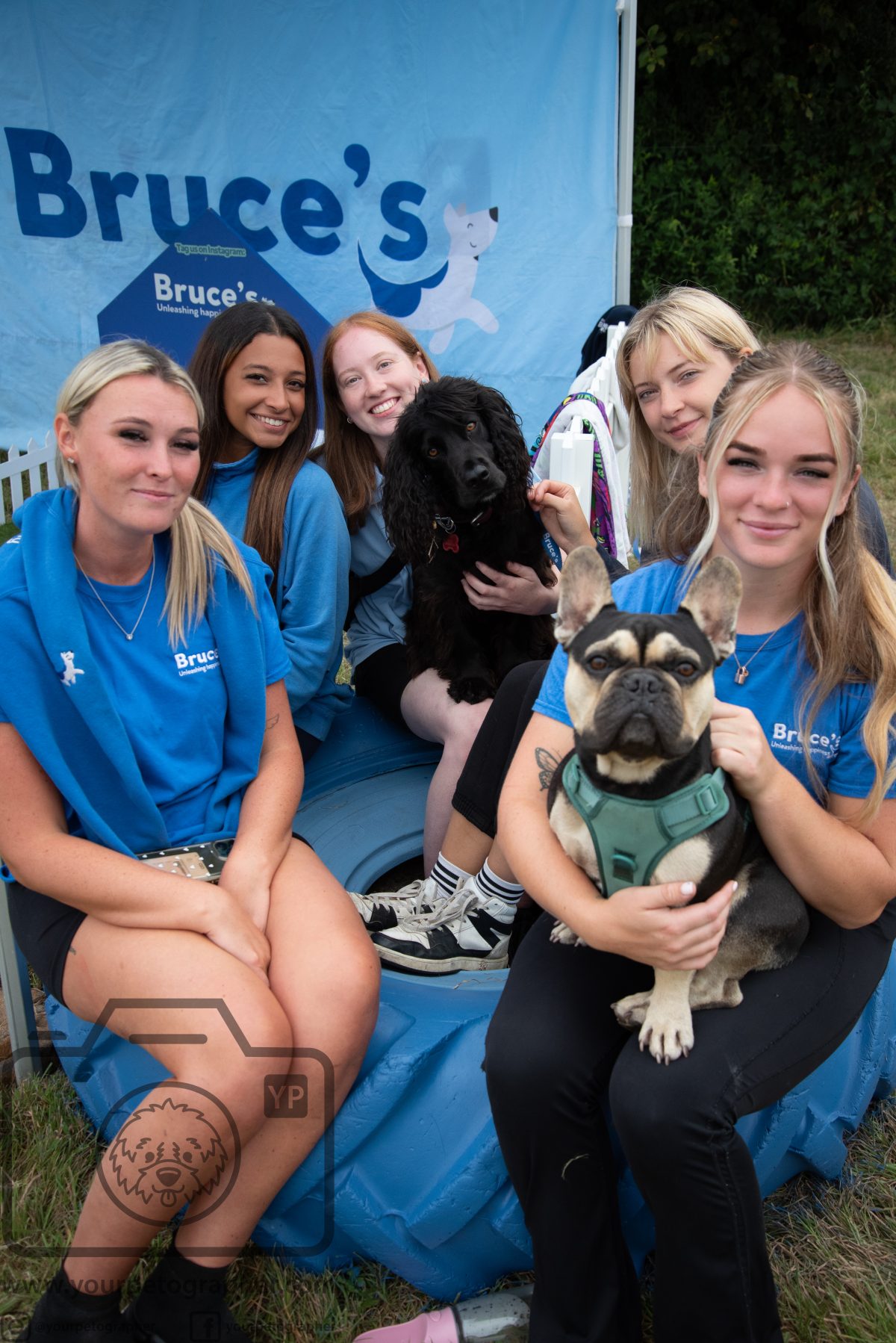 Bruce's Doggy Day Festival - Battlers Green tea, photo
