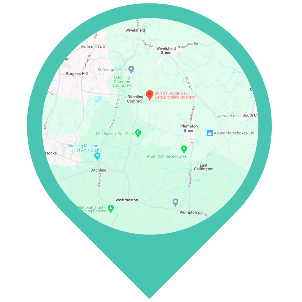Bruce's Ditchling location map