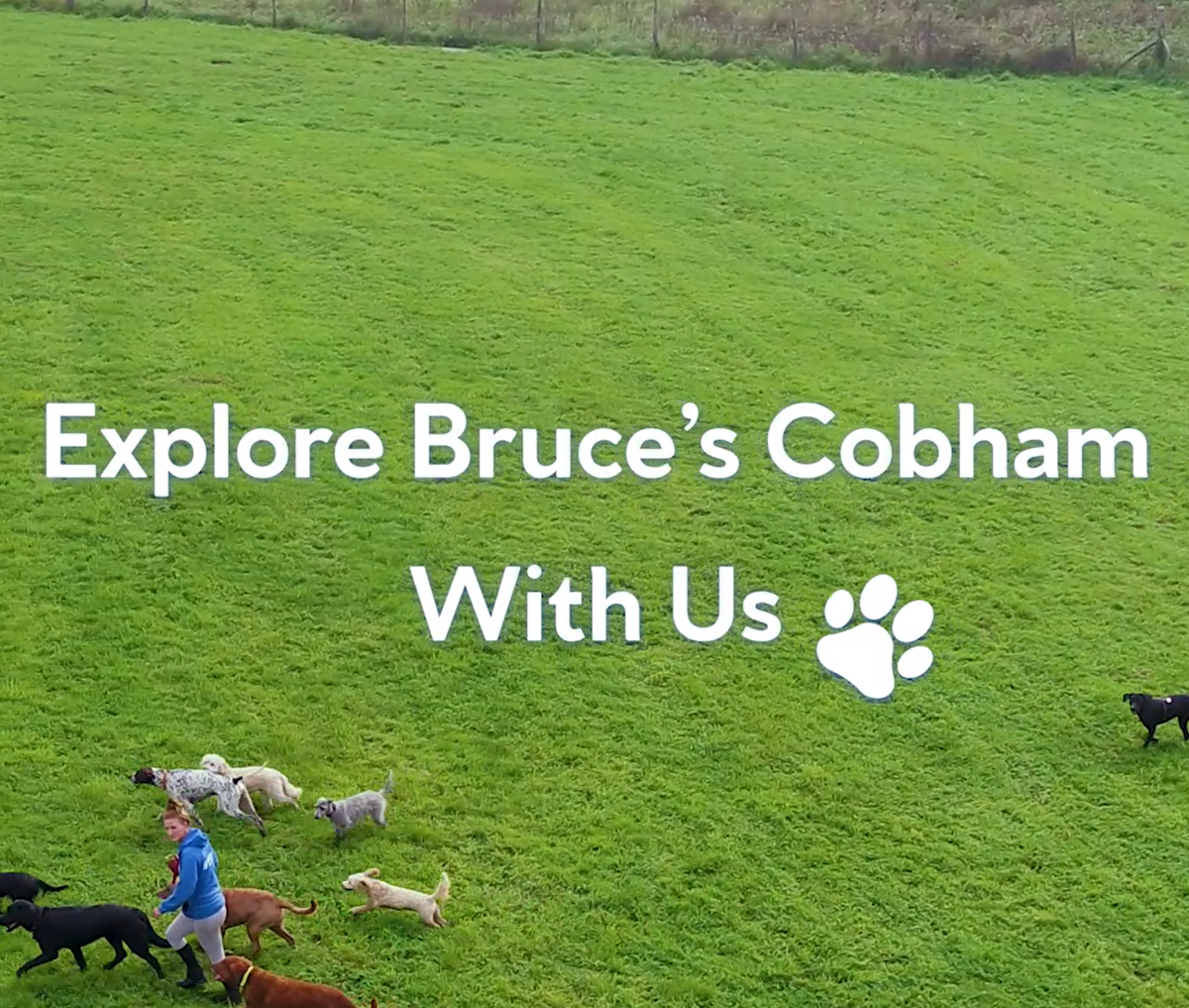 Cobham centre tour video