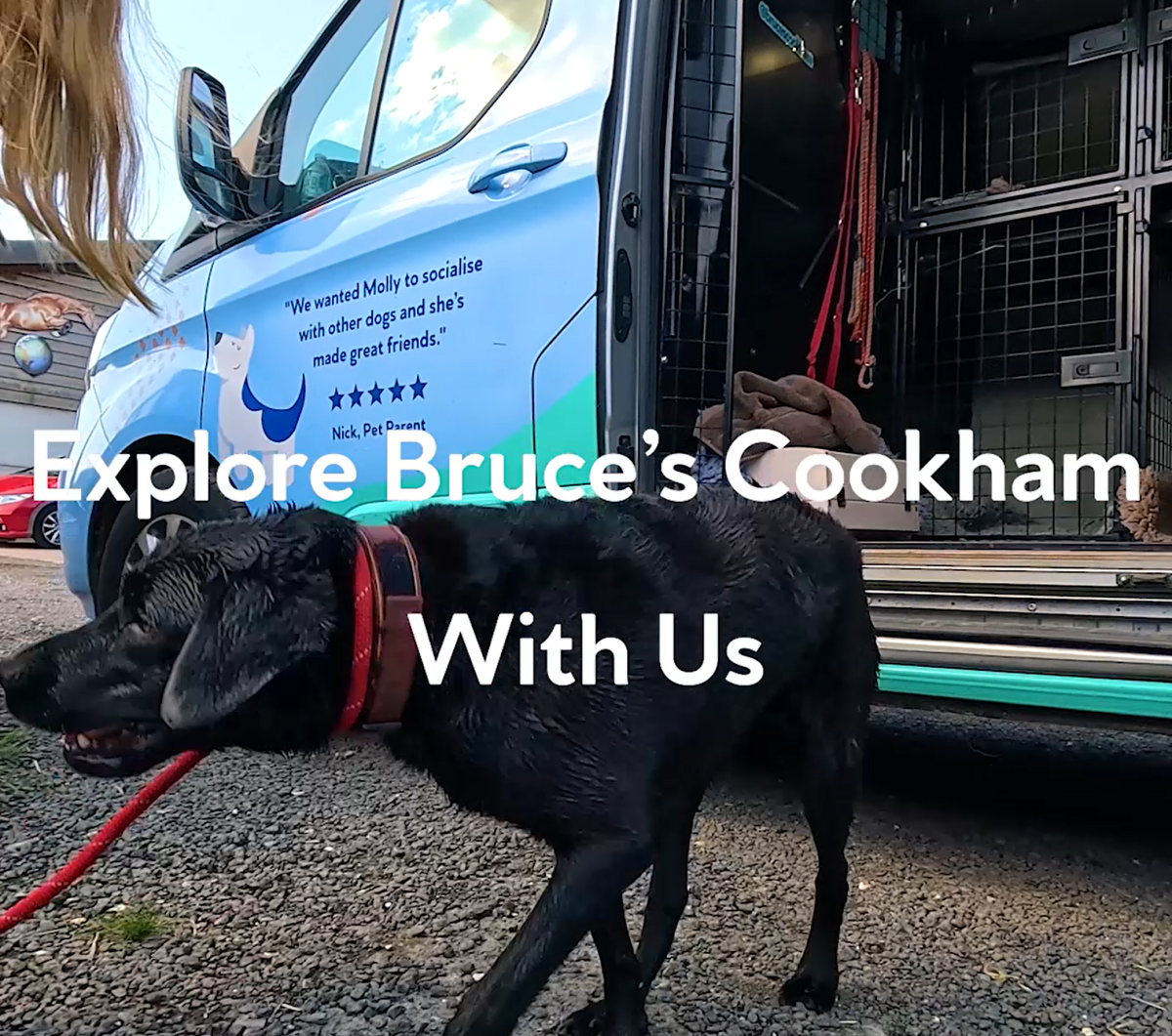 Cookham centre tour video