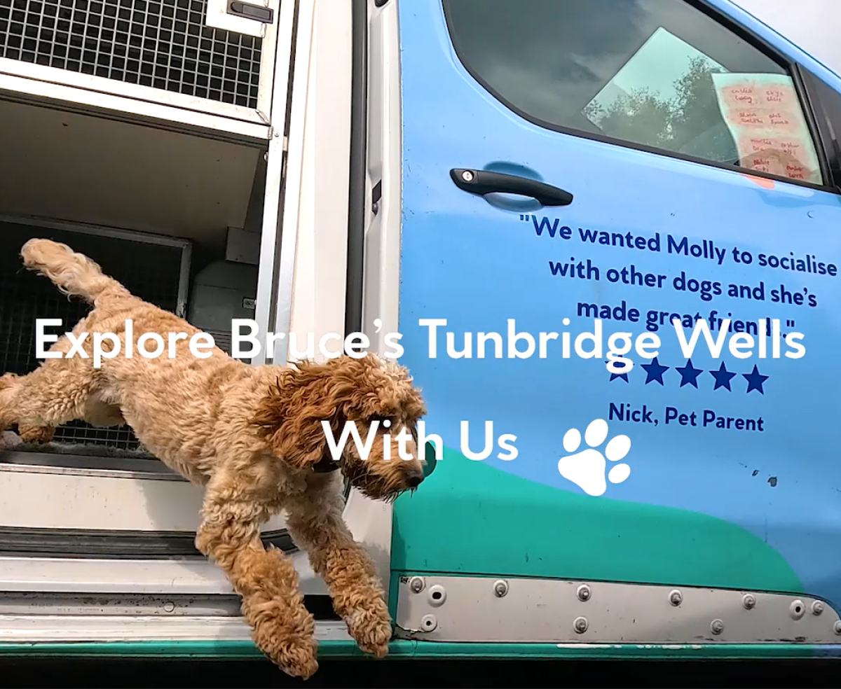 Tunbridge Wells centre tour video