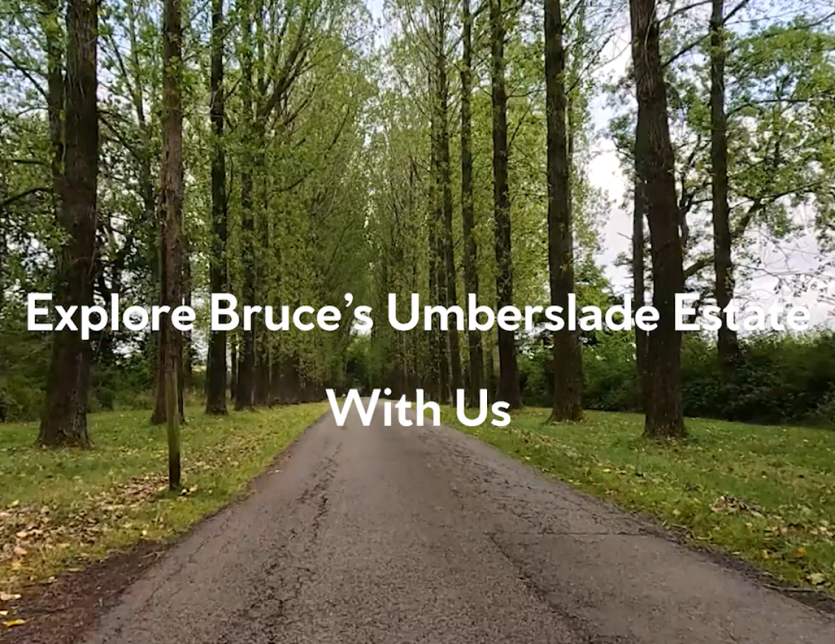 Umberslade centre tour video