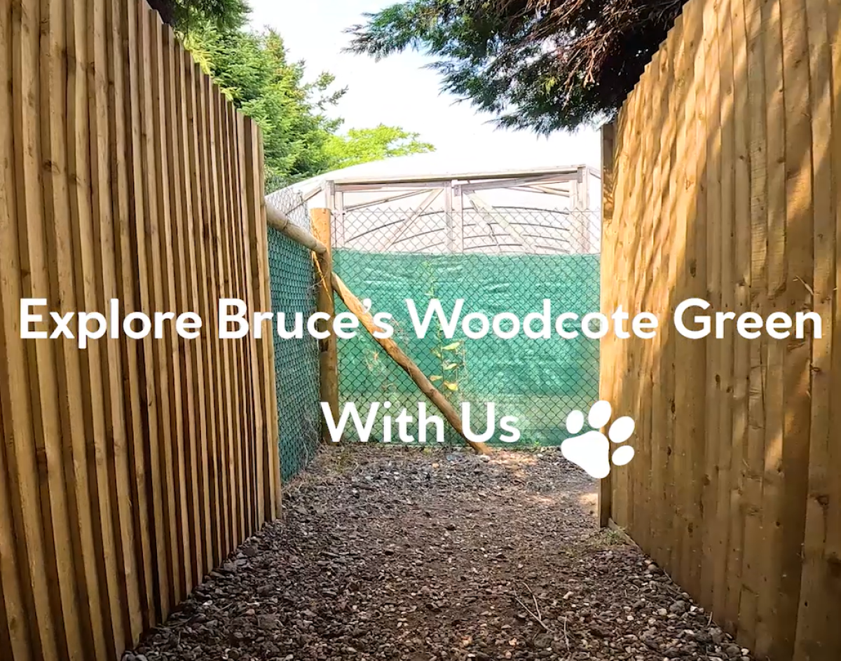 Woodcote centre tour video