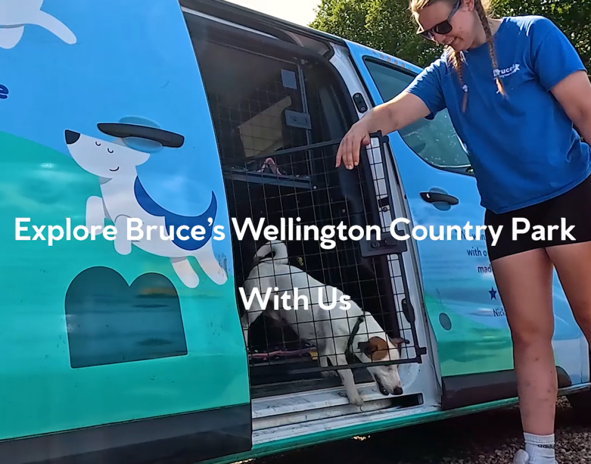 Wellington centre tour video