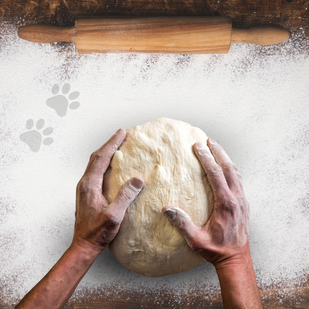 Doggy baking