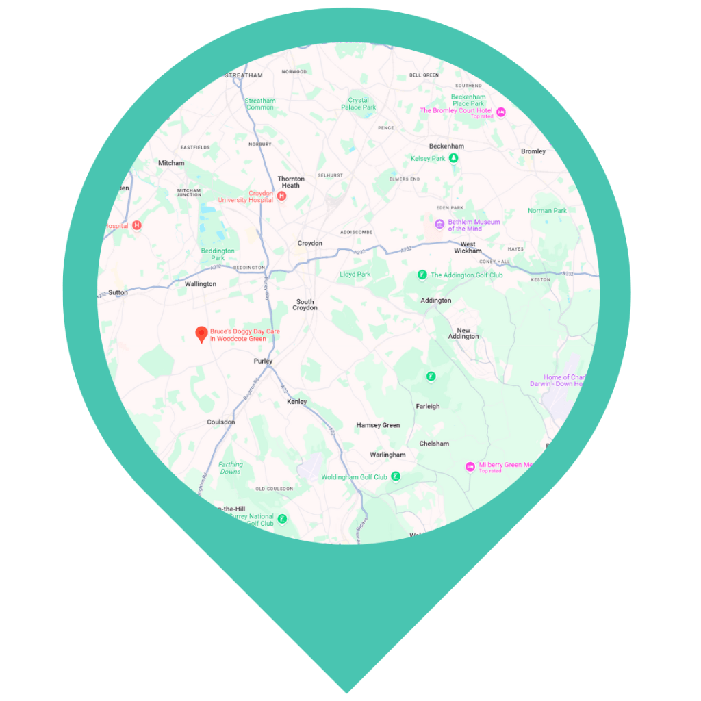 Map of Bruce's Woodcote Green