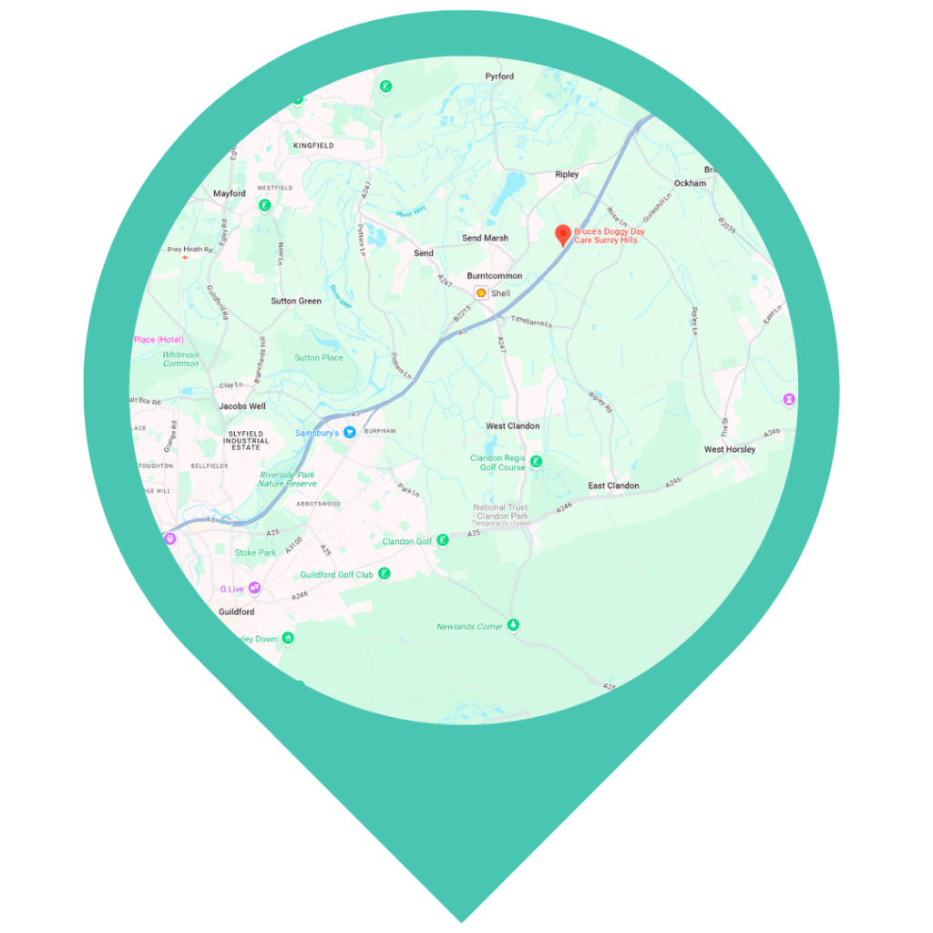 map of Bruce's Surrey Hills