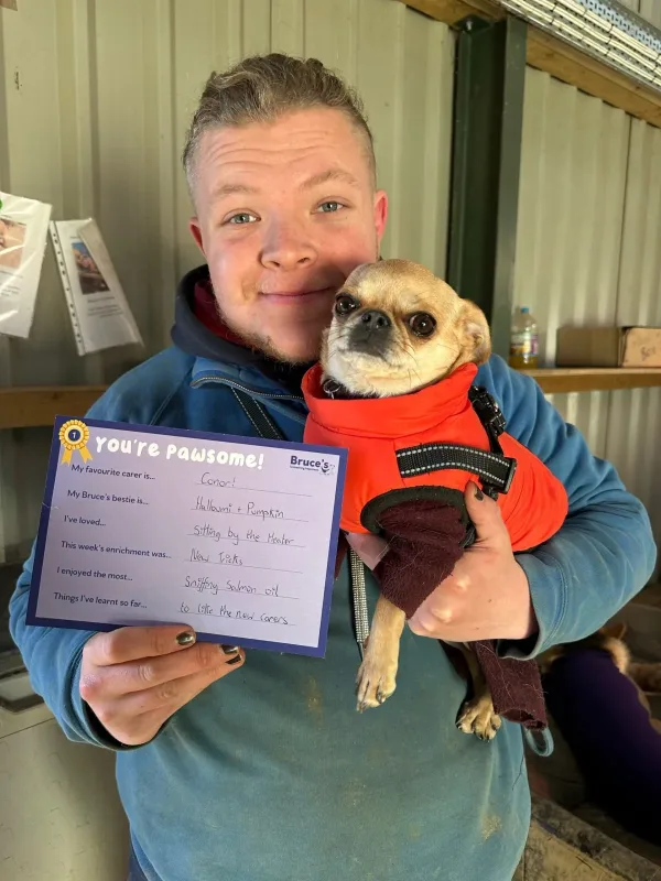 Conor - Carer and Enrichment Champion Tunbridge Wells