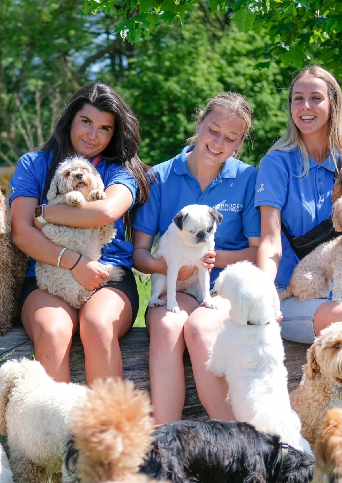 Team of carers