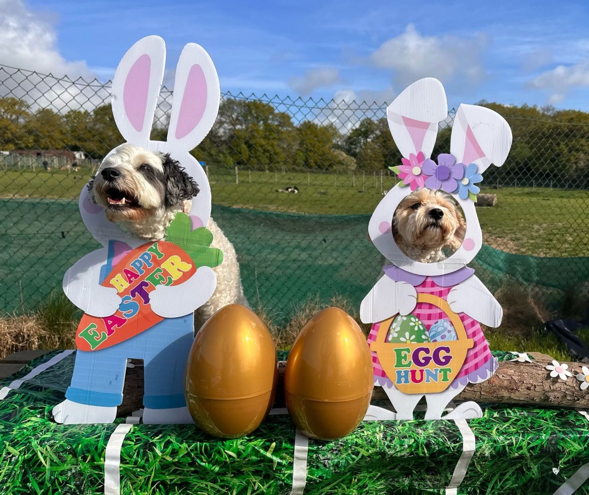 Easter Eggstravaganza 2025