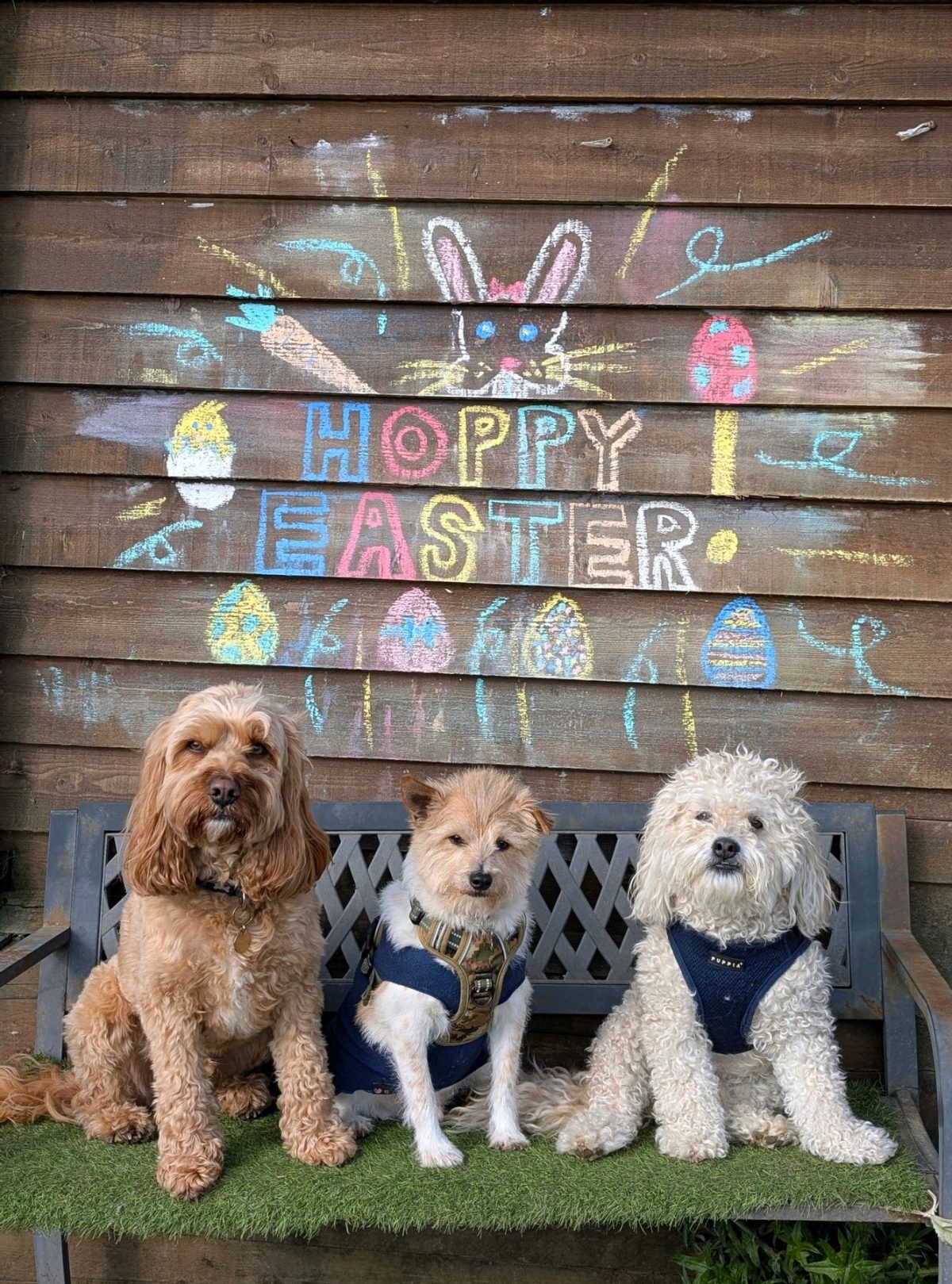 hoppy easter 2025