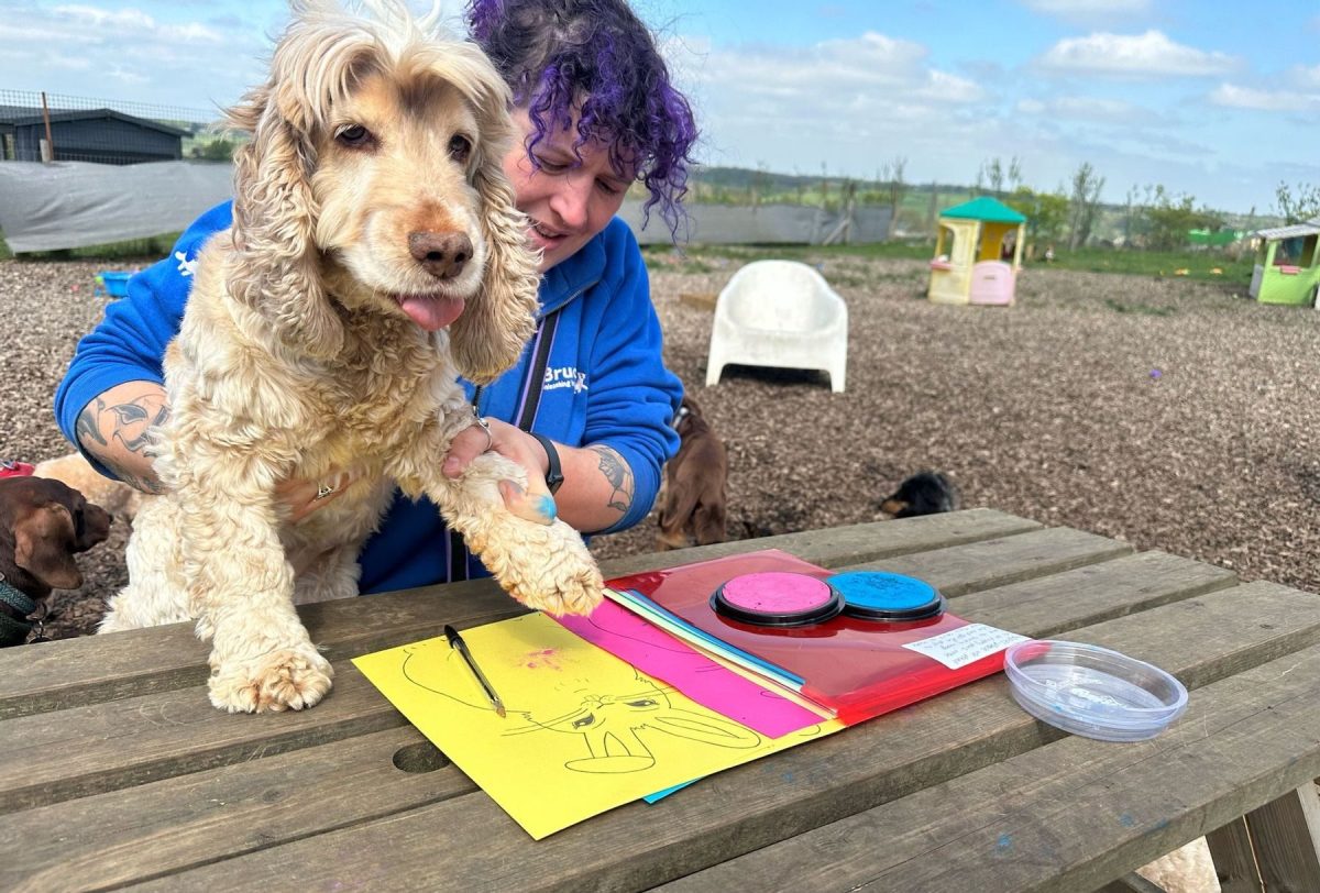 Easter paw painting