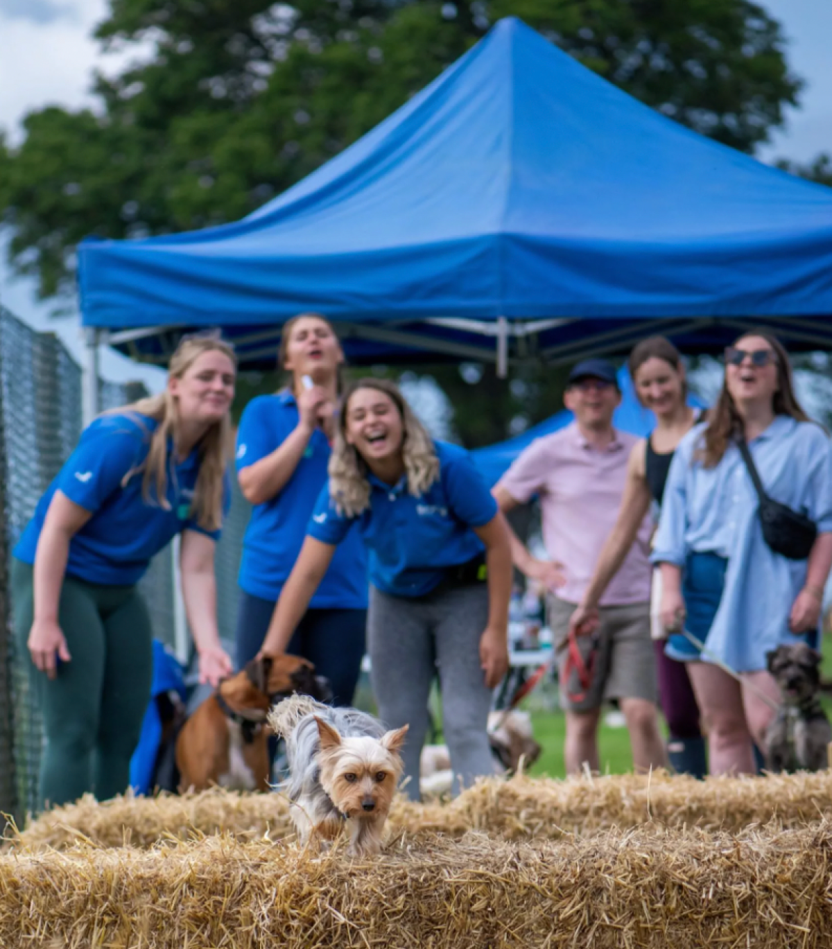 Steeplechase Fun at Bruce's Sports Day