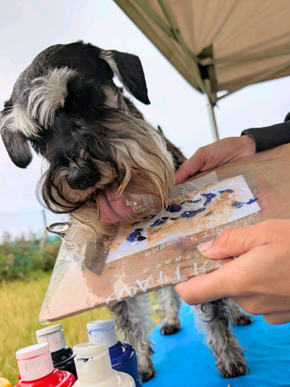 Schnauzer Painting