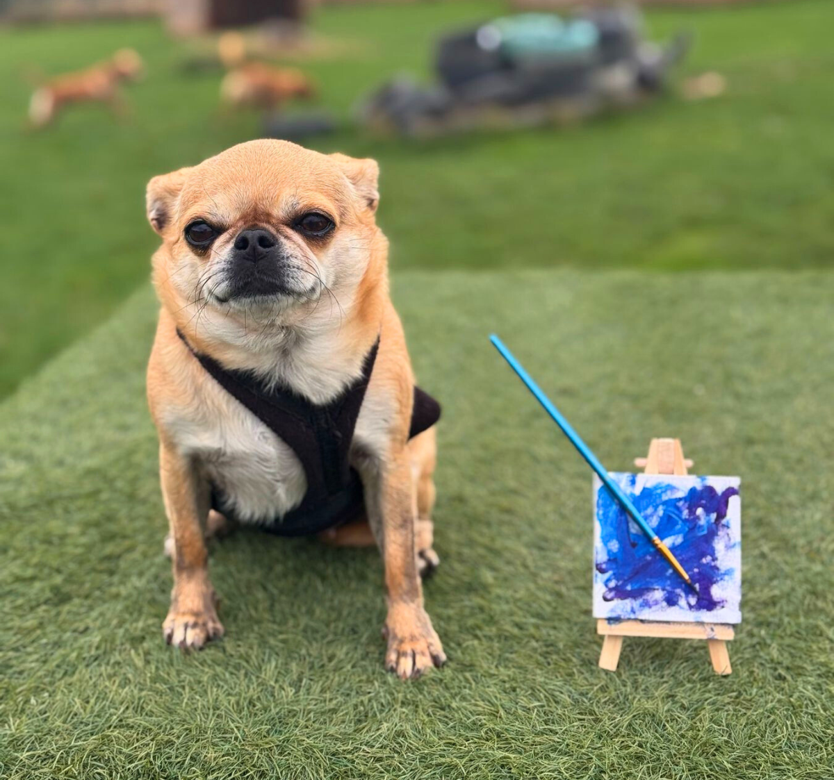 Proud Dog with their Painting