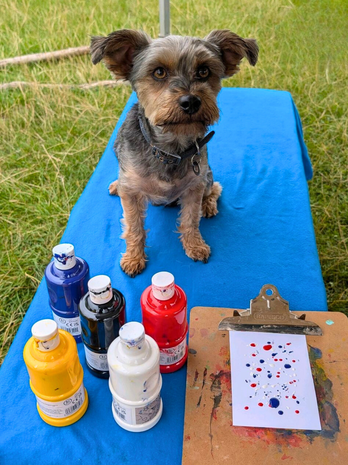 Getting Ready to Lick Paint at Day Care