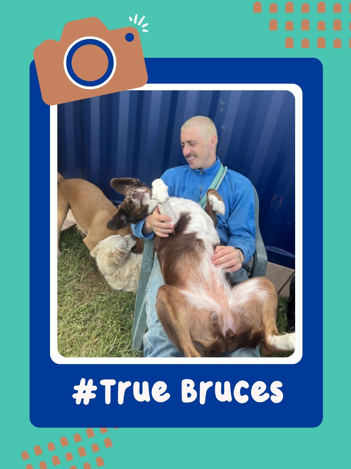 True Bruces - Cookie
