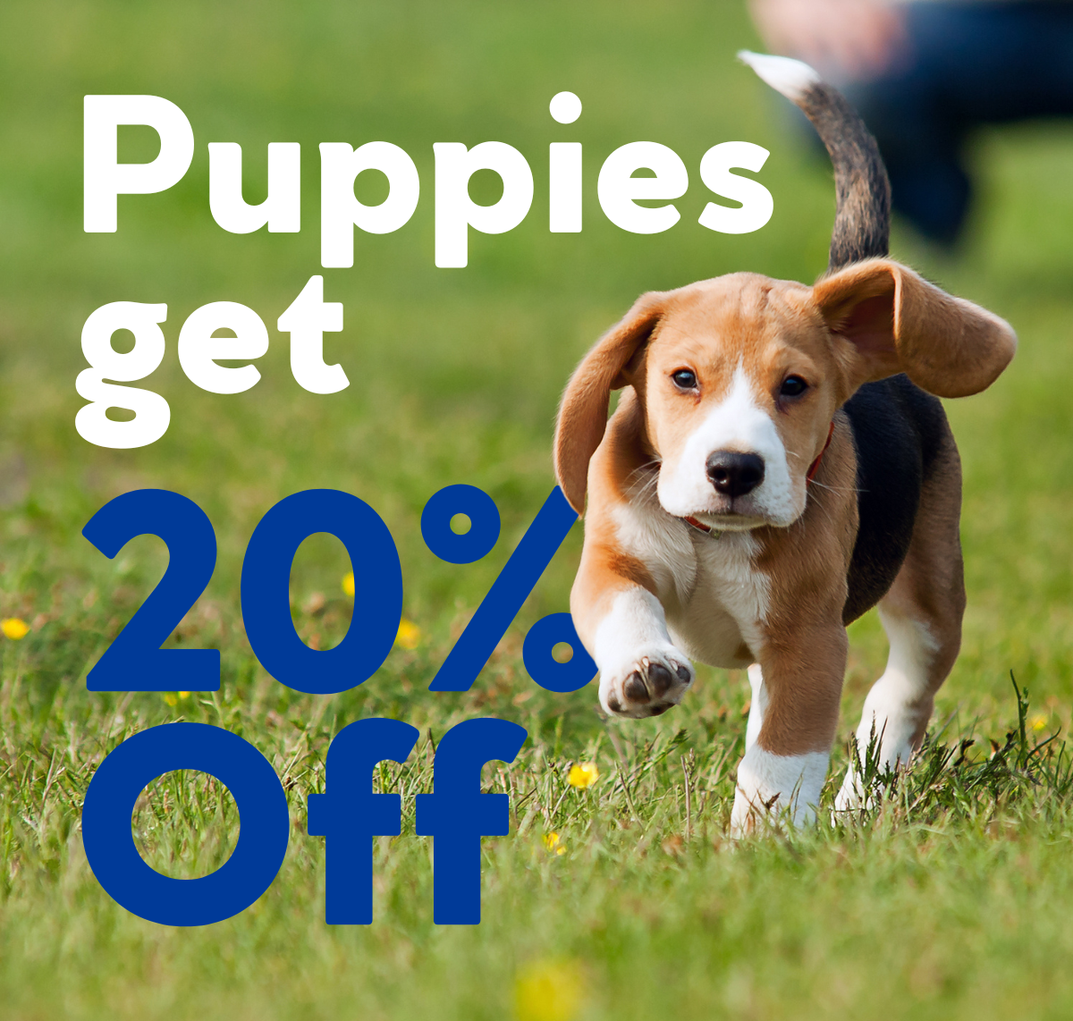 20% off Puppy Asset