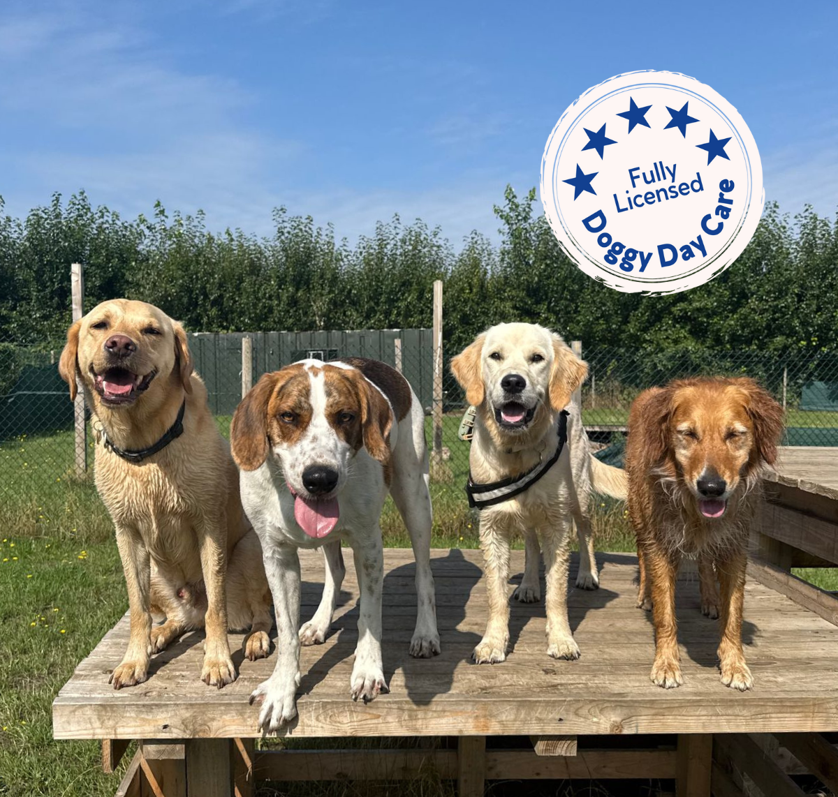 Bruce's Woodcote Green - 5 Star Licenced